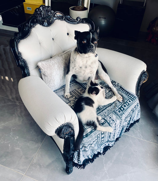 “Luna Bianca | Studio Edition” Upcycled Armchair (only ships in Cyprus)