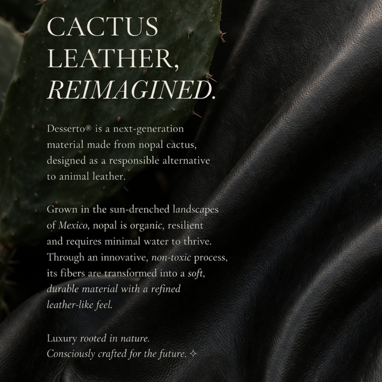 Desserto cactus leather material with text describing sustainable plant-based leather made from nopal cactus eco-friendly alternative