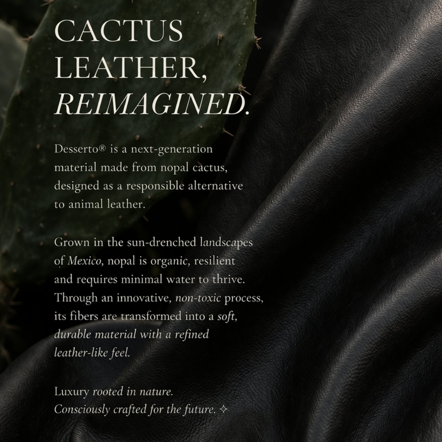 “El Clásica Elysian Eclipse Desserto Cactus CarryAll Mini” Handbag